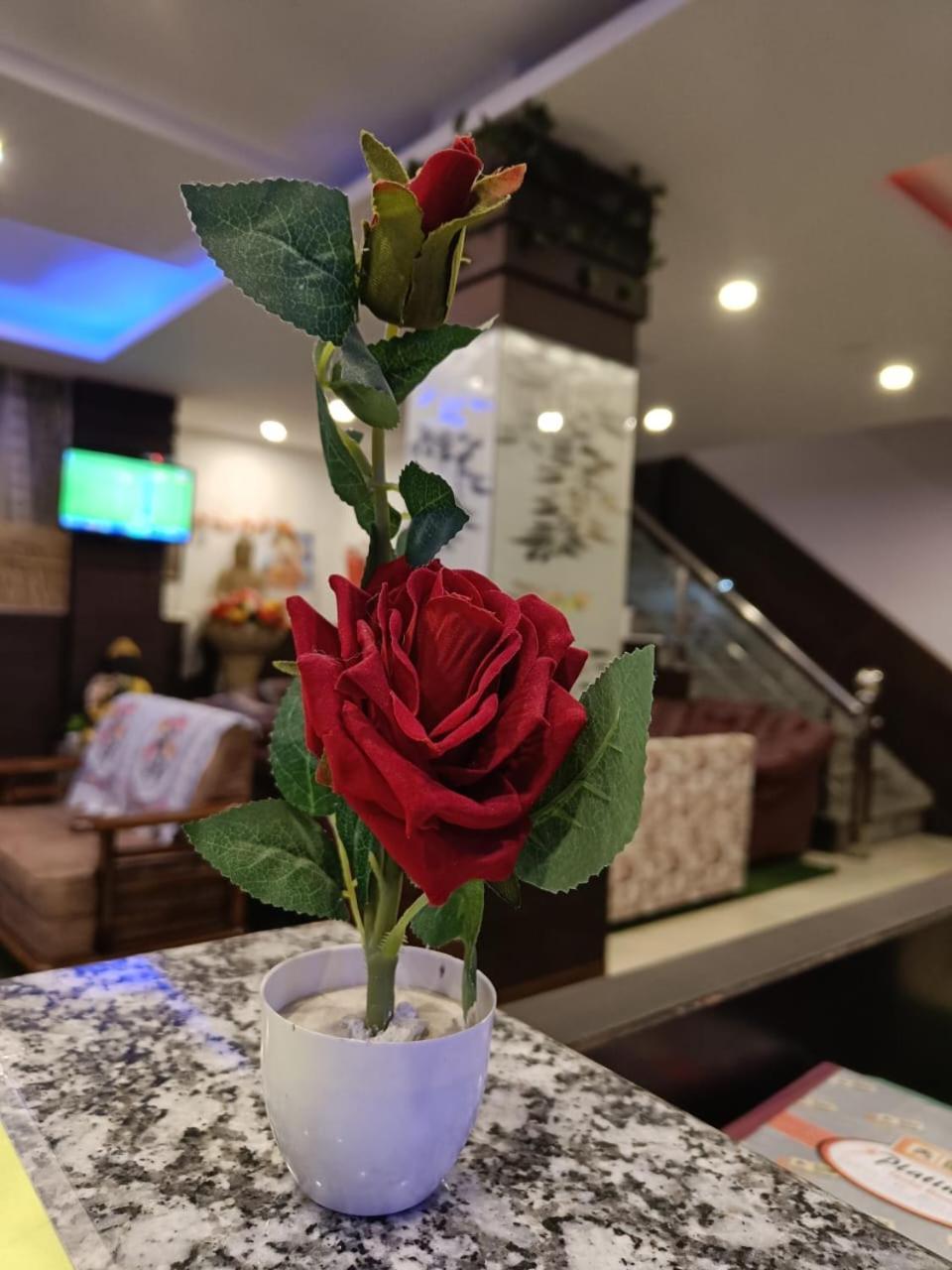 King Castle Mcleodganj-Centrally Heated And Air Cooled- Near Mall Road - Free Parking Dharamshala Exteriör bild